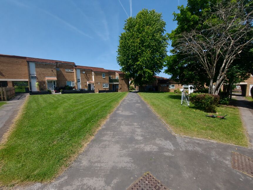 Image 20