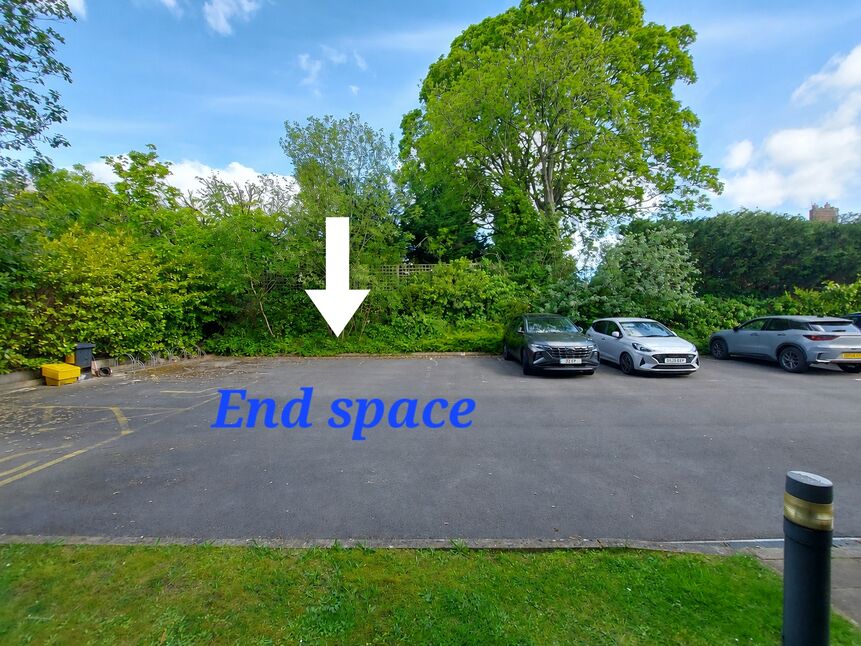 Image 20