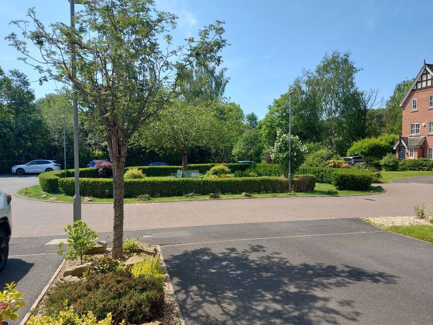 Image 27