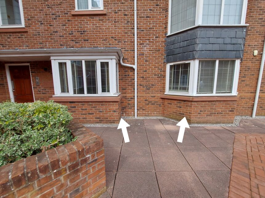 Image 13