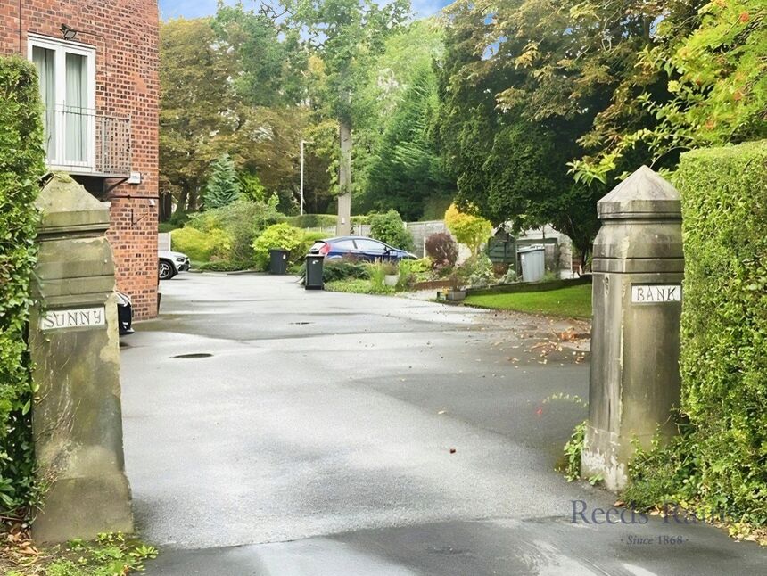 Image 19