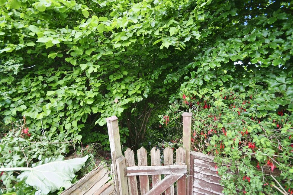 Image 21