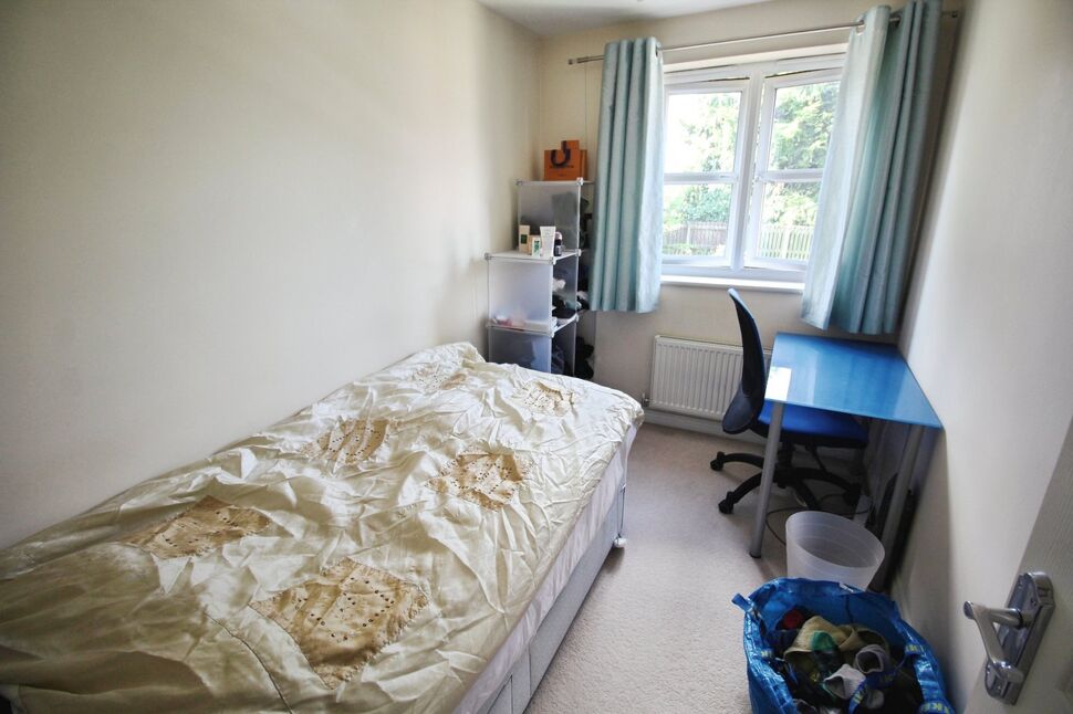 Image 11