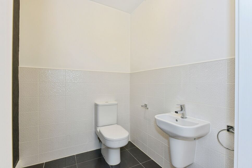 Image 15