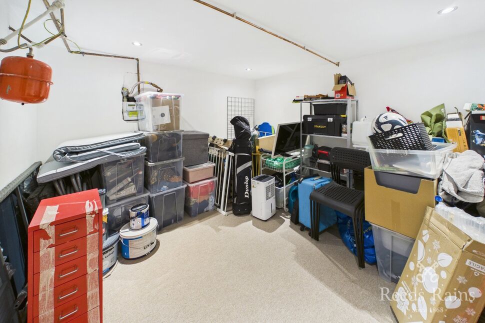 Cellar