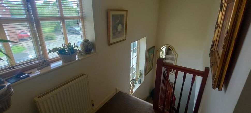 Image 13