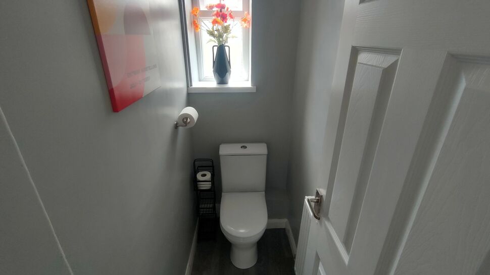 Image 20