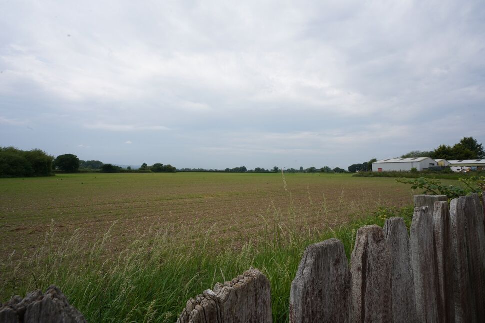 Image 37