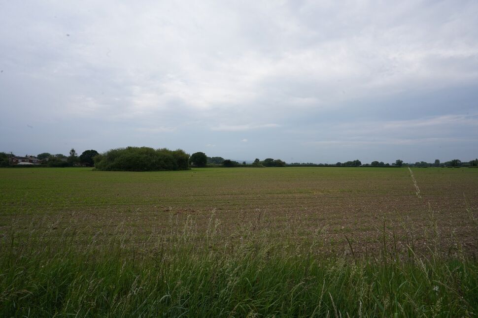 Image 39