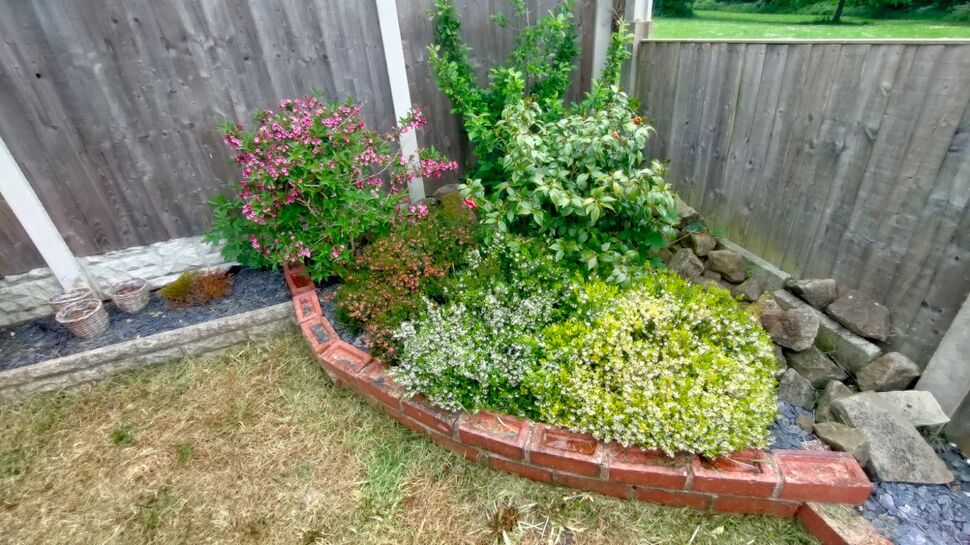 Image 15