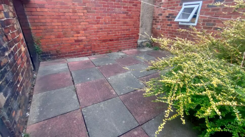 Image 15