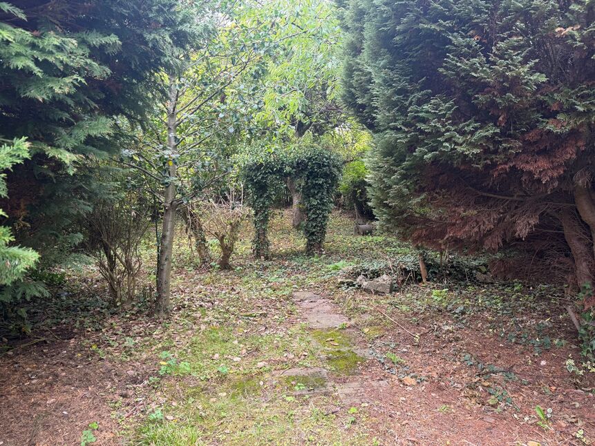 Image 17