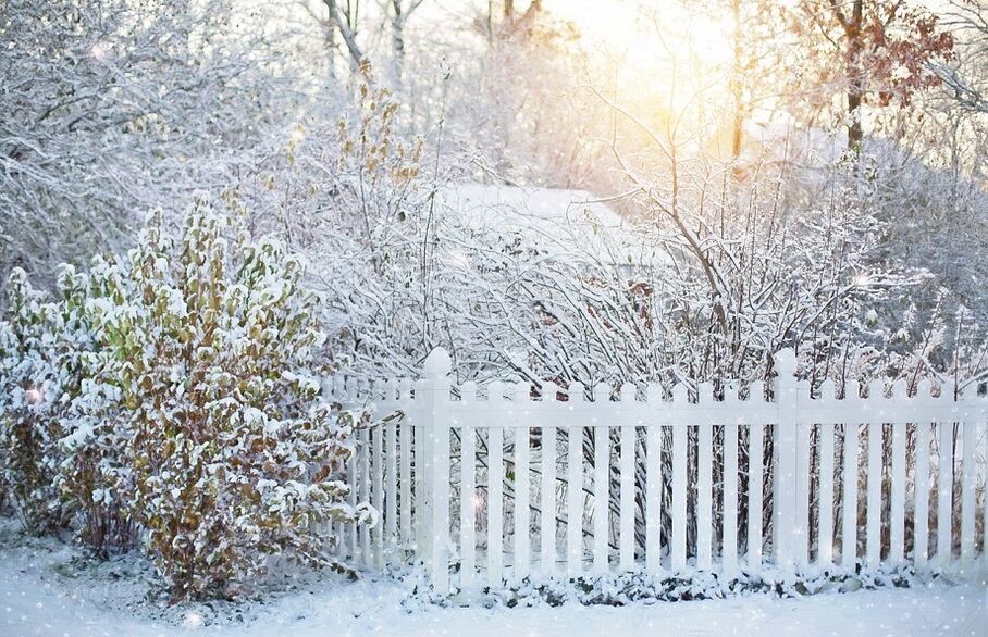 House and fence in winter