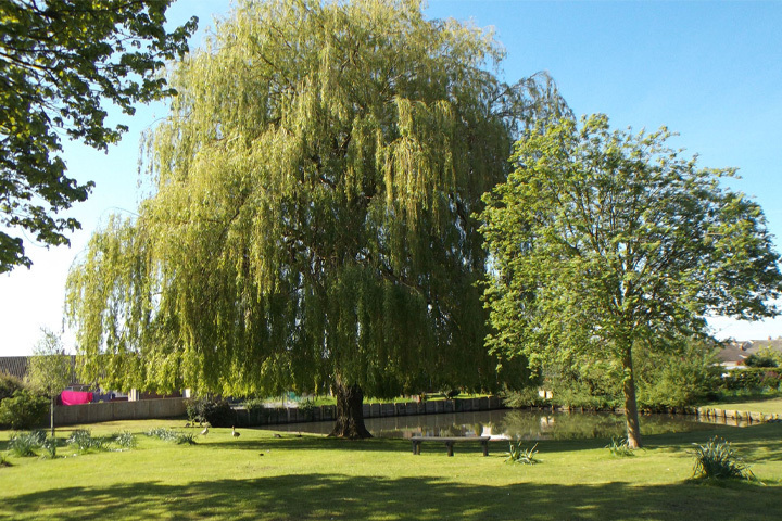 Haxby area guide