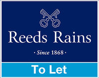 Reeds Rains